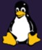 Linux Yeni Sorumlusunu Buldu